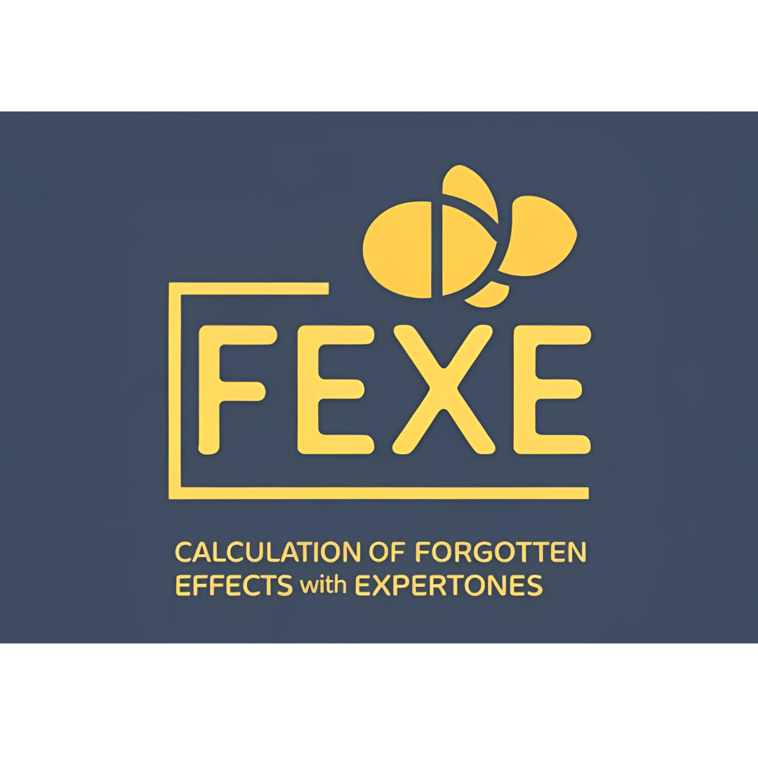 Logo FEXE